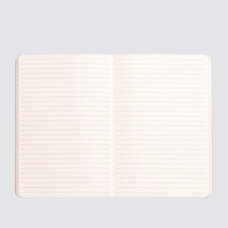 Notebooks Rhodia Ruled Notebooks | Rhodiarama A5 Softcover - Rose Smoke